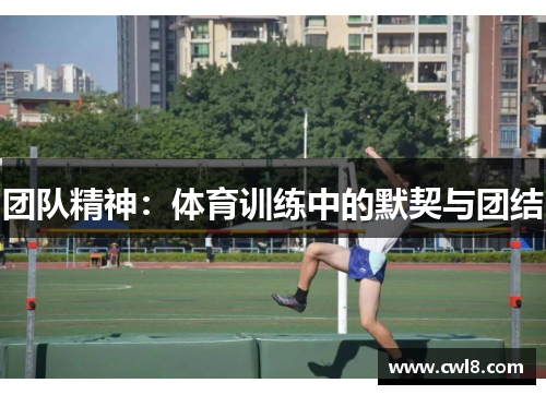 团队精神：体育训练中的默契与团结
